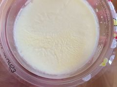 双皮奶-奶酪魏(牛街总店)
