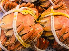 -秋月舫(阳澄湖湖滨中路店)