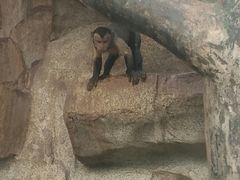 -石家庄市动物园