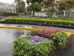 -新城控股新总部大楼