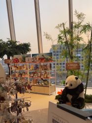 点击看大图 -IMON·HANSA潮玩玩偶毛绒玩具(通州万象汇店)