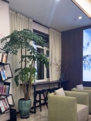 -加减美医美连锁品牌