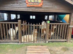 -太阳岛度假酒店