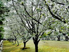 -同济大学(嘉定校区)