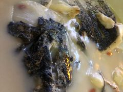 -全乐鱼馆·淳牌有机鱼直营店