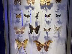 -吉林省自然博物馆