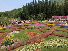 -深圳仙湖植物园