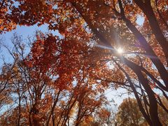 -北京西山国家森林公园