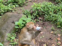 -黔灵山公园