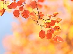 -周口店坡峰岭风景区