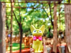 -朝阳公园