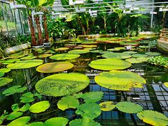 -国家植物园南园