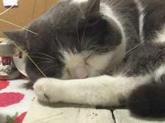 -小时光咖啡馆(开森度假森林店)