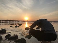 -宝安西湾红树林湿地公园