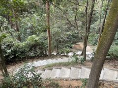 -火炉山森林公园