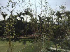 -棕榈泉国际高尔夫学院