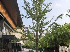 -龙盛活力小镇