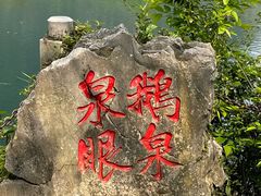 -靖西鹅泉风景区