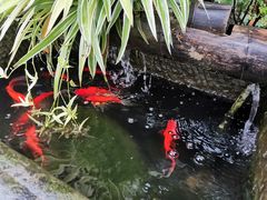 -胡桃里乐队酒馆(鎏嘉码头店)