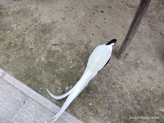 -森林公园(尖草坪区)