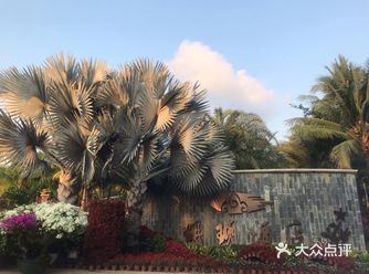 私人订制拍摄地，情人桥，网红秋千等等
