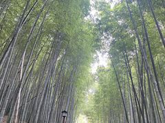 -穹窿山景区