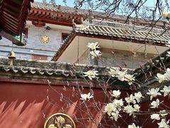 -西安市广仁寺