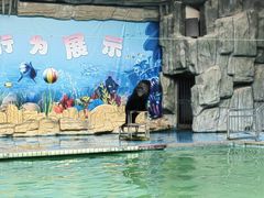-合肥野生动物园
