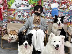 -汪说·狗咖(旺城大厦店)