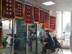 -邢大夫动物医院