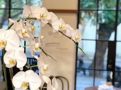 -Luneurs(幸福里店)