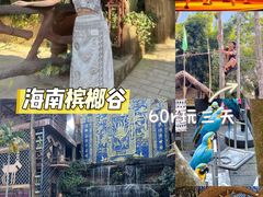 -海南槟榔谷黎苗文化旅游区