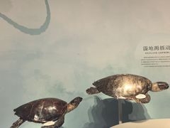 -中国湿地博物馆