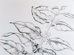 大堂-筑艺咖啡