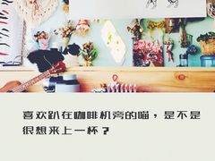 -平行世界·猫咖(首经贸店)