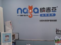 -纳吉亚猫专科动物诊疗中心(蒋宅口分院)