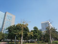 -迎喜海鲜酒楼(鹏森·海纳中心店)