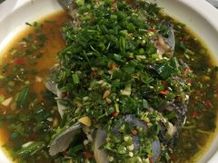 -葡萄园鱼庄(新津店)