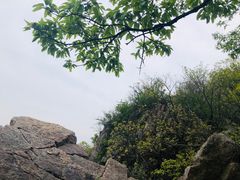 -紫金山山顶公园