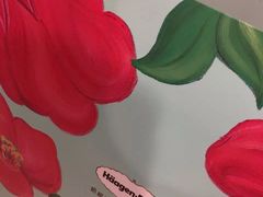 -哈根达斯(红谷滩万达店)