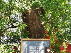 -水峪民俗村