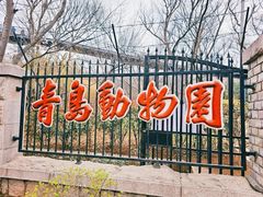 -青岛动物园