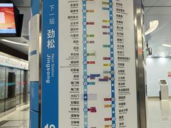 -潘家园(地铁站)