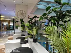 -叶子与茶(苏宁广场店)