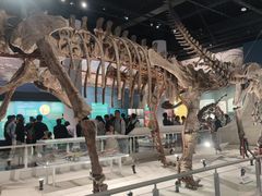 -国家自然博物馆