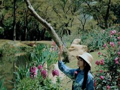 -人民公园(罗湖区)