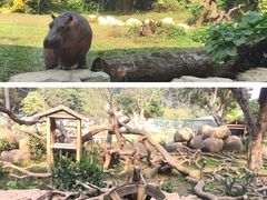 -广州长隆野生动物世界