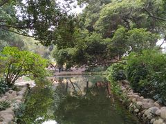 -成都市活水公园