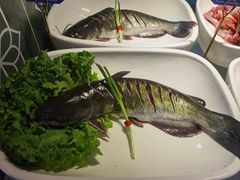 -老德州四合院·德州菜(天衢路店)