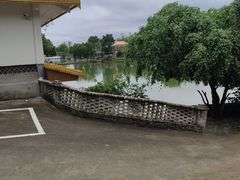 -杨二傣香园